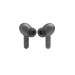 JBL Live Flex Earbuds